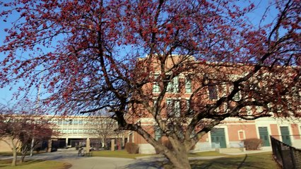 A Caring Chorus - Esta professora doente dirigia-se para a sua sala… Mas quando viu isto no corredor… Entrou em COLAPSO!