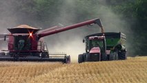 Case IH 335 STEIGER on Grain Cart Duty with a Brent 1282