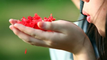 Vệt Nắng Cuối Trời - Hoàng Bách