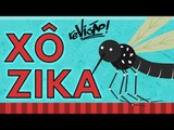 ZIKA VÍRUS, DENGUE E MICROCEFALIA