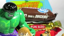 SCOOBY DOO PARODY Video with LEGO Mystery Machine FRED SHAGGY SCOOBY DOO HULK And PLAY-DOH