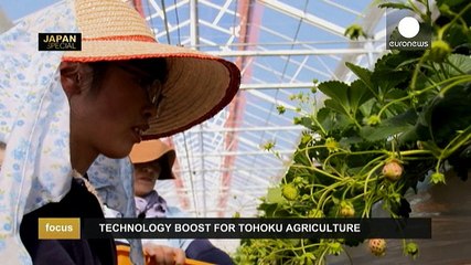 Japão: Cinco anos após devastador tsunami a região mais afetada, Tohoku, caminha para a recuperação