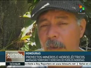 Honduras: 101 activistas asesinados por defender la tierra