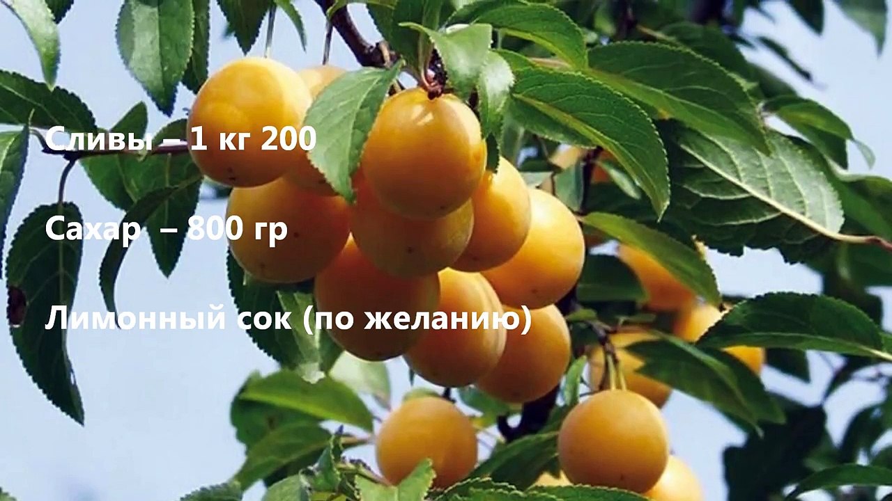 Варенье Сливовое Классическое