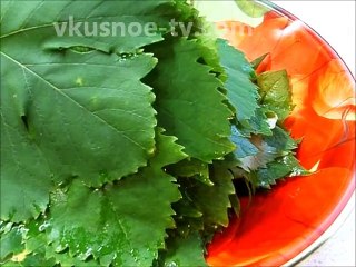 Виноградные листья соленые Для Долма