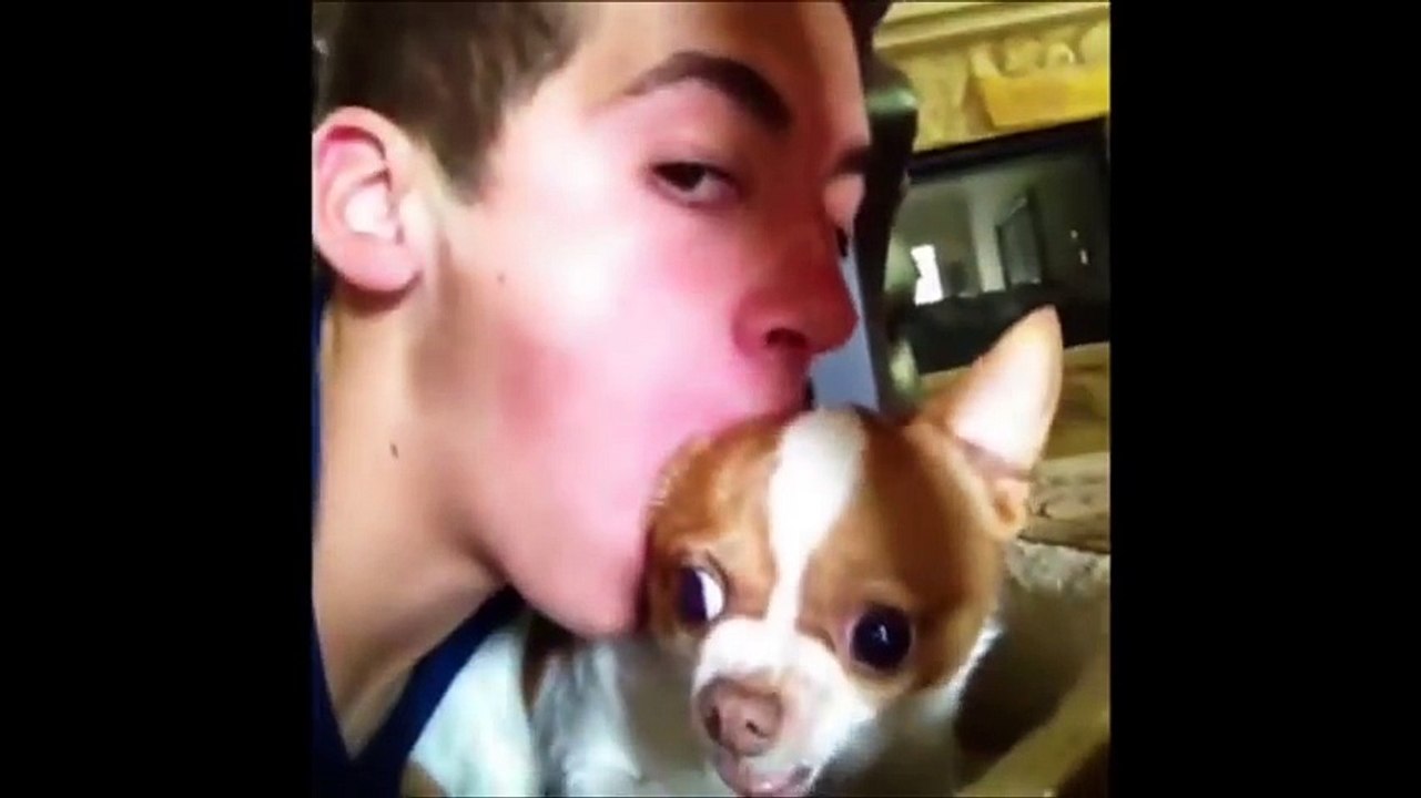 Funny Dogs Video Compilation 2015