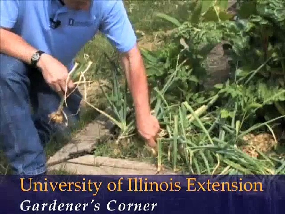 Planning a Garden in Difficult Places