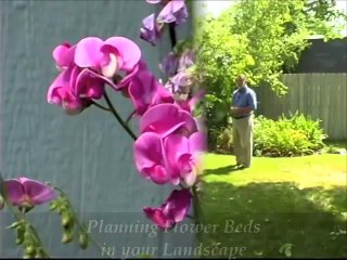Planning Flower Beds in Your Landscape