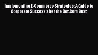 Download Implementing E-Commerce Strategies: A Guide to Corporate Success after the Dot.Com