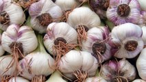 Garlic - Health Benefits | लहसुन के स्वास्थ्य लाभ | Health Care Tips In Hindi