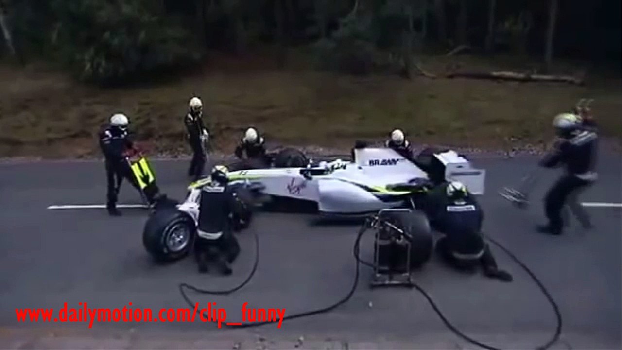 F1 And Bear