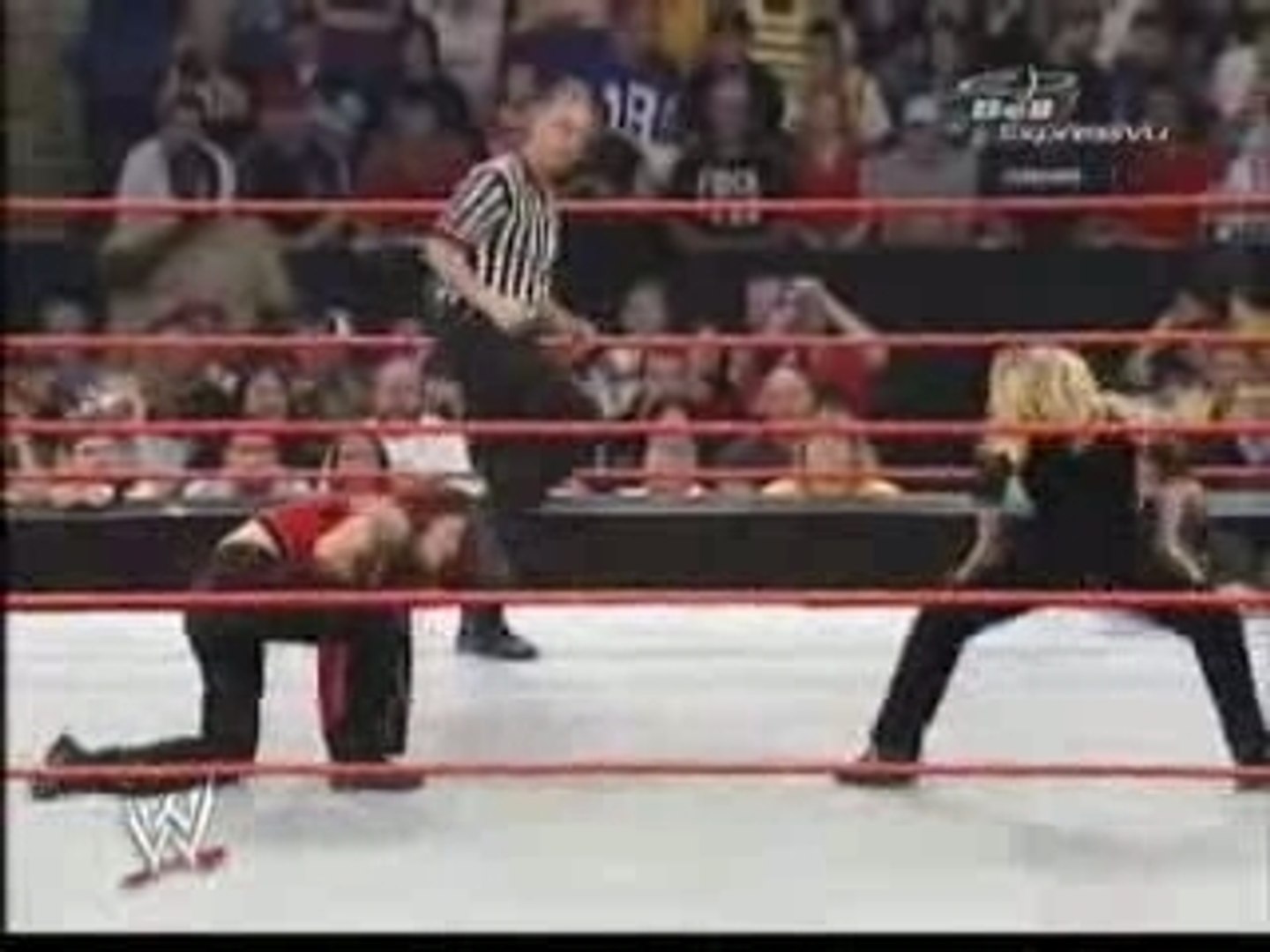 WWE Trish Stratus vs Gail Kim vs Victoria vs Lita - Vidéo Dailymotion