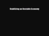 Read Stabilizing an Unstable Economy Ebook Free