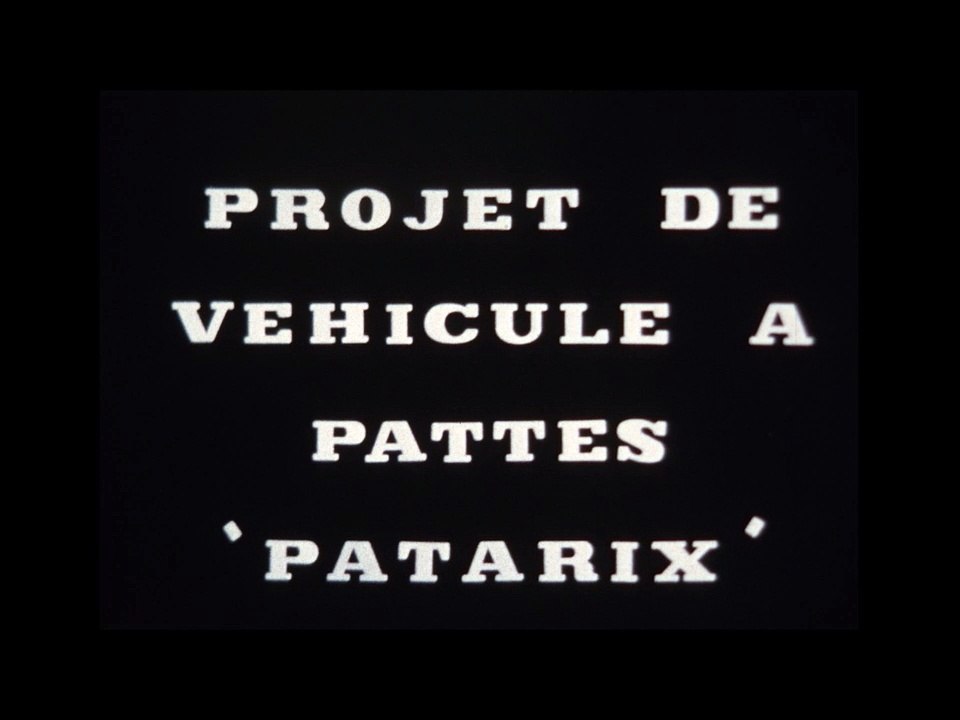 Patarix