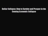 Read Dollar Collapse: How to Survive and Prosper in the Coming Economic Collapse PDF Online