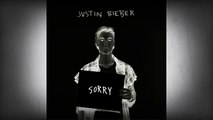 Justin Bieber Sorry lyric
