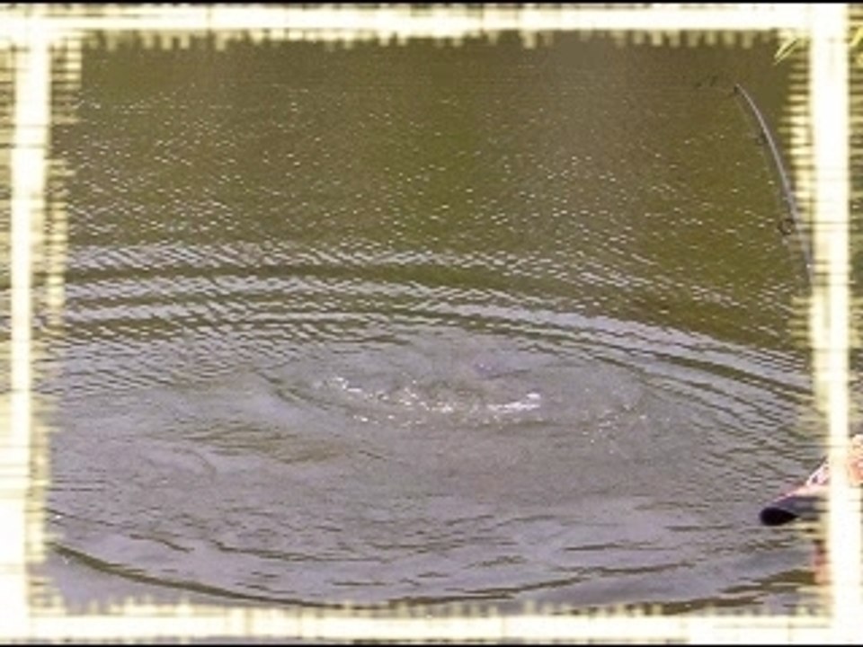 Diaporama carpe, "mes potes et moi"