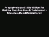 Read Foraging New England: Edible Wild Food And Medicinal Plants From Maine To The Adirondacks