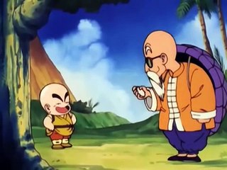 Goku and krillin Race