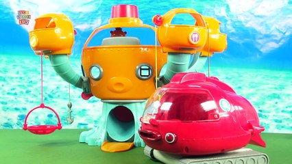 The Octonauts Adventures The OctoLab and the Tough Choice