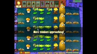 Plants Vs. Zombies Survival Night Hard(10 flags completed)