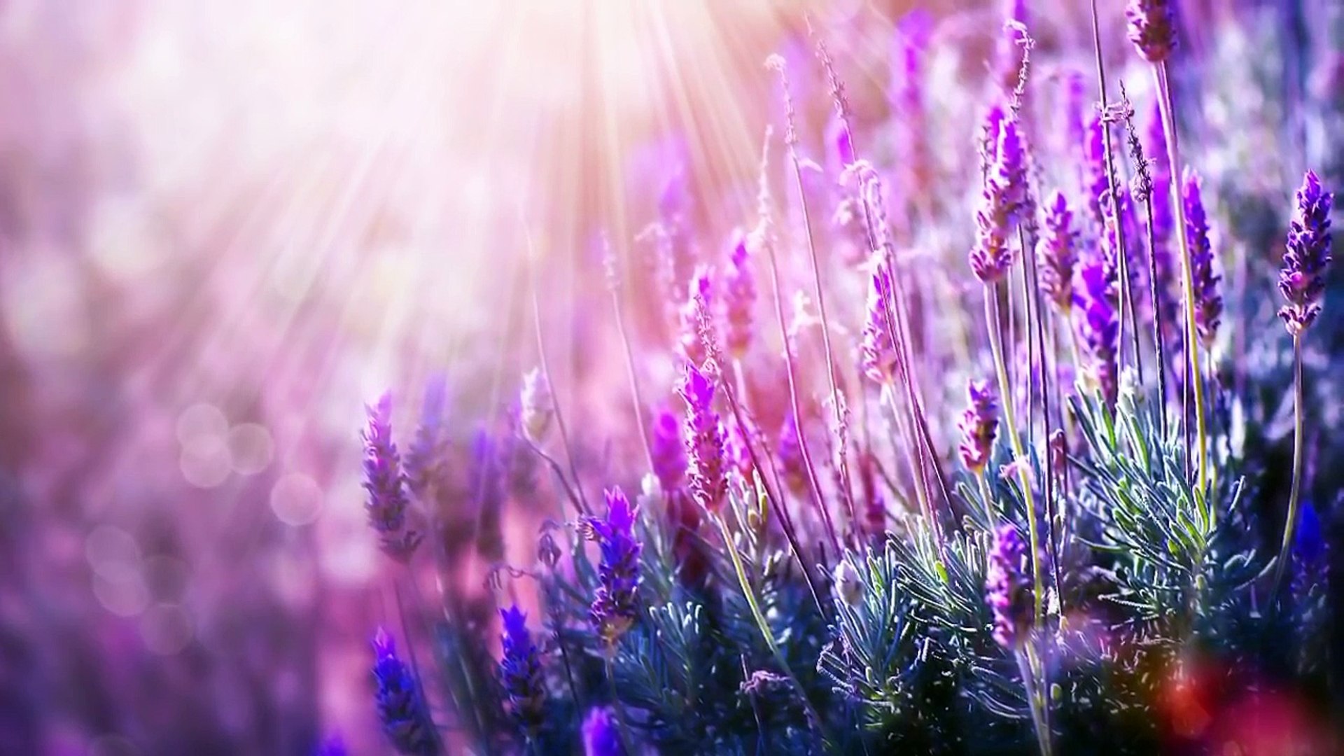 30 Minute Sleep Music: Relaxing Music, Meditation Music, Calming Music, Soothing Music ☯672B