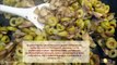 Мясной рулет фаршированый грибами и оливками Пошаговый рецепт
