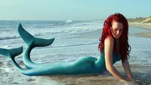 Two Tailed Mermaid - REAL OR FAKE -