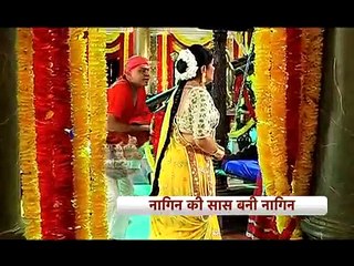 Search for Naagmani in Naagin. -5th march