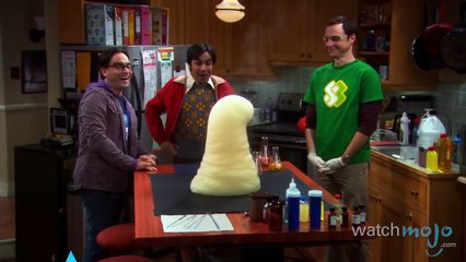Top 10 Big Bang Theory Moments Video