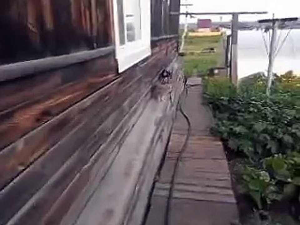 А ну быстро домой!