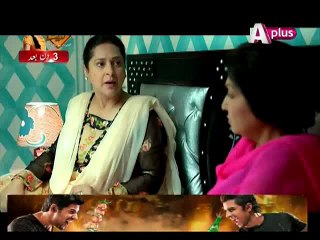 Bheegi Palkein Episode 17 on Aplus