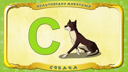 Мультипедия животных. Буква С Собака