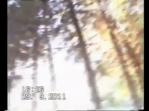 Таджикская свадьба))