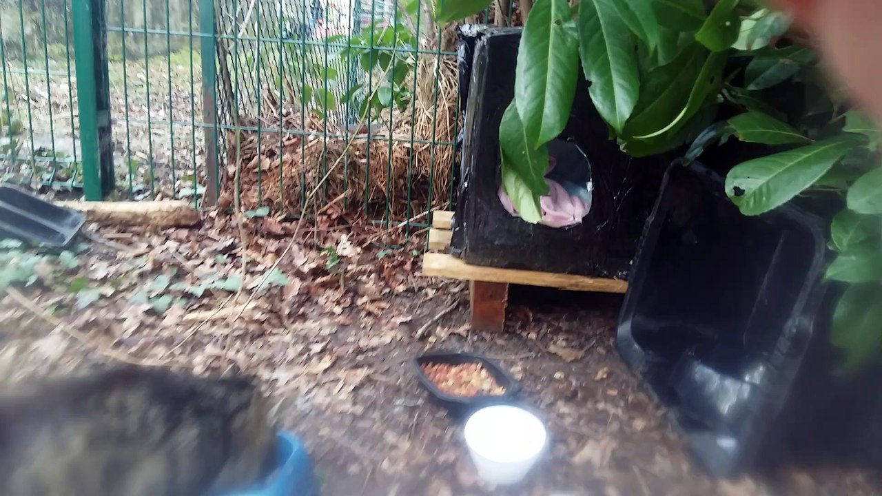 minous-apres-destruction-cabanes-4mars2016