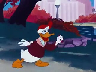 Donald Duck and Chip-Dale Test Pilot Donald