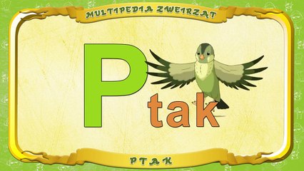 Multipedia Zwierząt. Litera P Ptak