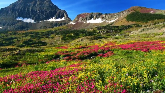 15 Minute Meditation Music Relax Mind Body: Inner Peace, Relaxing Music, Calming Music ☯024B