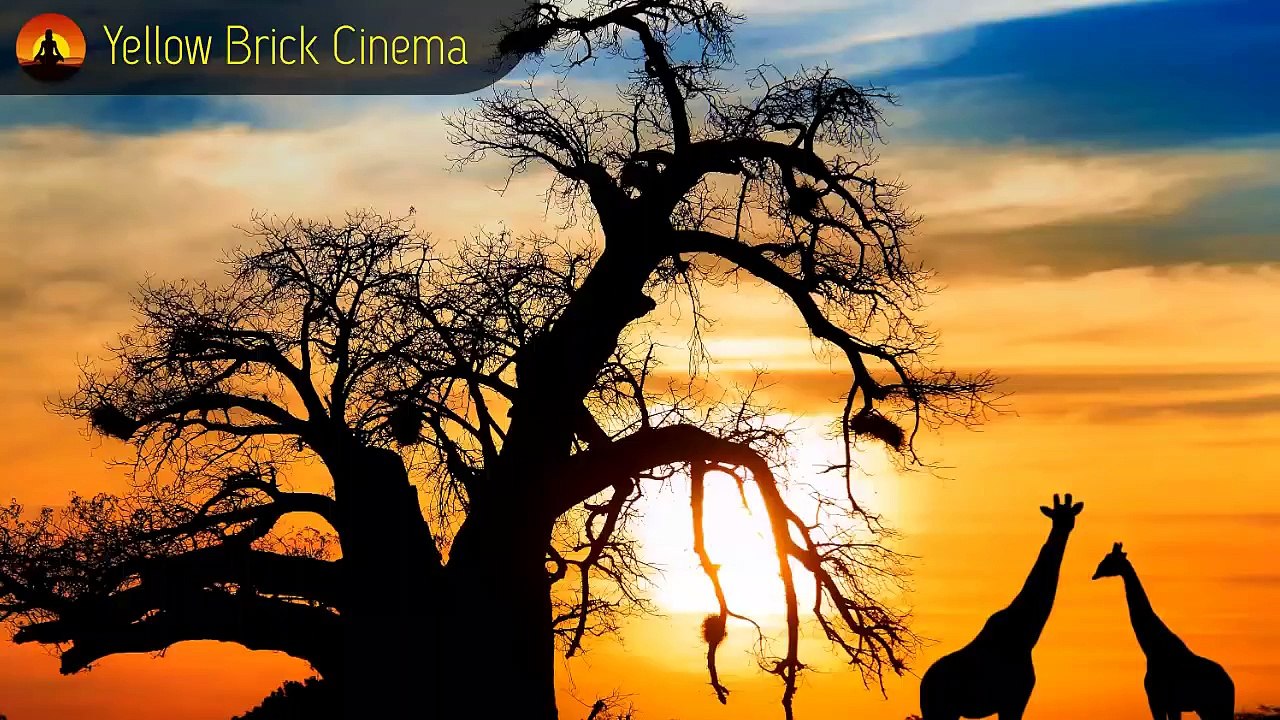 15 Minute Deep Meditation Music: Relaxing Music, Calming Music, Soothing Music, Healing Music ☯106B