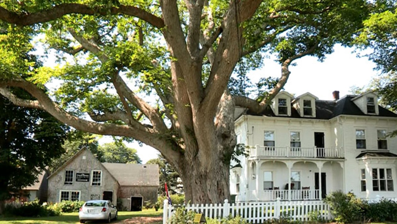 Prince Edward Island – Victoria by the Sea, ein Ort wie im Märchen