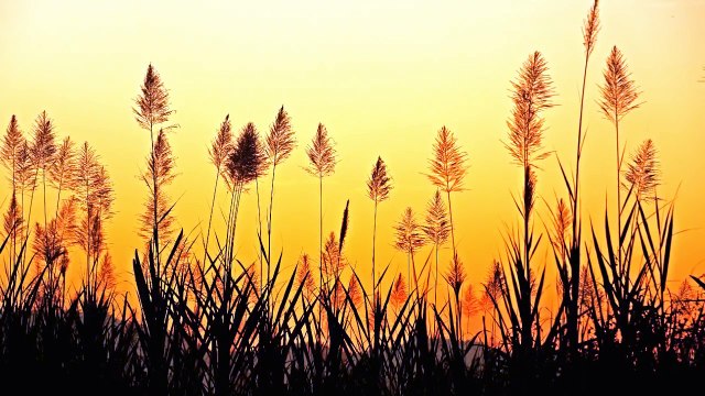 30 Minute Sleep Meditation: Relaxing Music, Calming Music, Soothing Music, Relaxation Music ☯131B