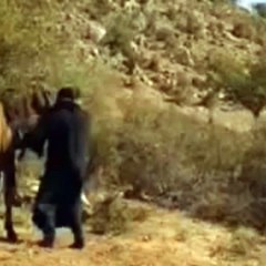 الجرو يهاجم الزير تصميمي