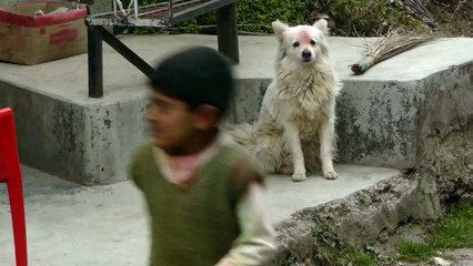 VERY SCARY! DONT WATCH! Ghost Child caught on tape