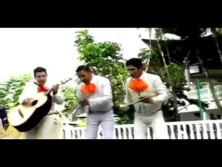 el mariachi loco remix dj javier mendoza