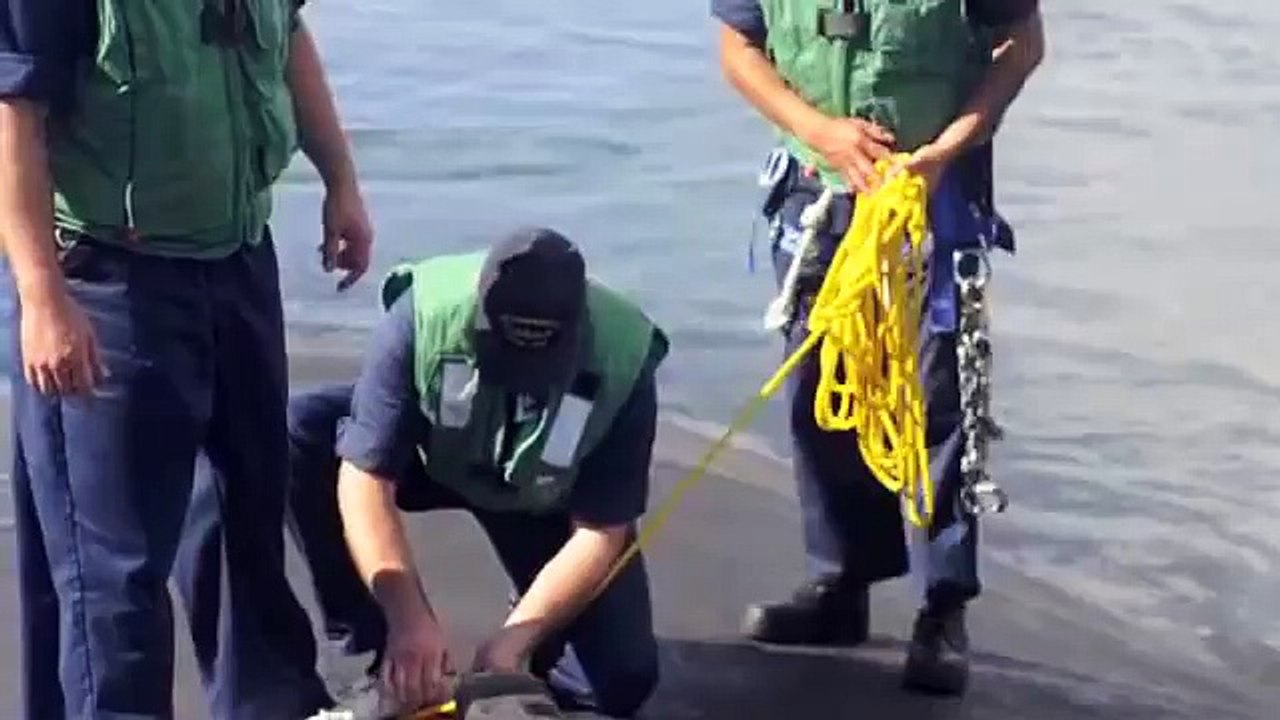 A Day on Minnesota (SSN 783)