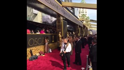 Oscars 2016 Red Carpet Opens