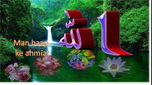 Mulana Tariq Jamil volume 2
