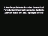 PDF A New Target Detector Based on Geometrical Perturbation Filters for Polarimetric Synthetic