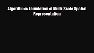 Download Algorithmic Foundation of Multi-Scale Spatial Representation [Download] Online