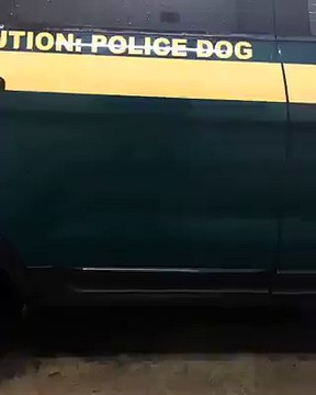 C'est HILARANT ! Découvrez ce que fait ce chien policier pendant que sa voiture de patrouille est au lavage !